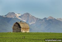 Montana House Rejects Bill to Establish Bitcoin Reserve Fund