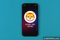 Shiba Inu Surges 12% Amid Robinhood Listing Rumors