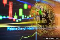 BlockTower Capital: Bitcoin Continues to Grow Steadily
