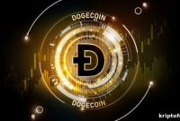 Dogecoin (DOGE) Drops Below Key Support Level