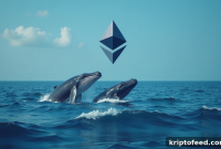 Ethereum Staking Surges as Whales Aggressively Accumulate ETH