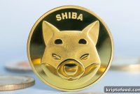 Shiba Inu (SHIB) Leads Meme Coins After Price Rises as Crypto Market Opens Monday