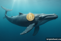 Bitcoin Sees Strong Accumulation Despite BTC Price Drop