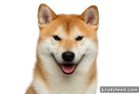 Shiba Toby Surges Over 2,800% Today: What’s Driving the Rally?