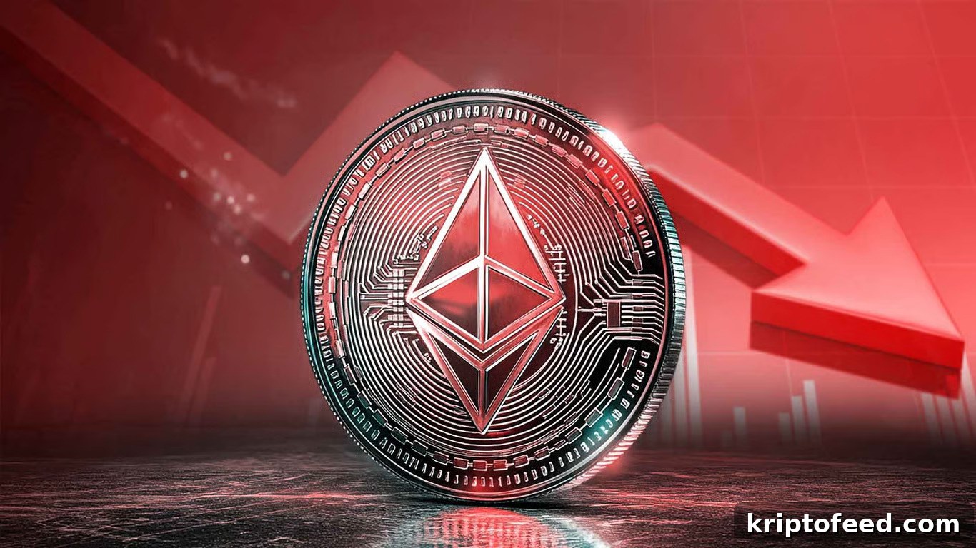 featured 338452