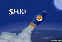 Shiba Inu Surges After Foxbit Listing: What Investors Need to Know