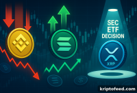 Crypto Market Drop: BNB Falls 10% as SOL Tests $200, XRP ETF Updates