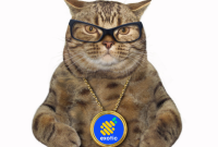 Exotic Markets Launches on DevNet: Introducing New Products