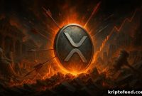 XRP Price Forecast as Supply and Profits Fall 58%