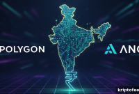 India adopts Polygon and Anq for rupee-backed stablecoin launching early 2026