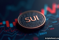 SUI Price Plunges 13% as Fee Turmoil Sparks Risk-Off Selling; Bitcoin Falls Below $93,000