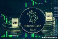 Bitcoin Cash Steady Near $500 Amid Crypto Slump — 2026 Outlook