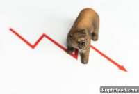 Why Has Fantom (FTM) Dropped Over 17%?