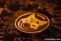 Shiba Inu (SHIB) Could Hit This Year’s Low After 25% Drop