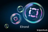Discover Long-Term Value in Cryptocurrencies: Top Coins to Buy