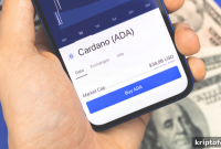 Top 3 Coins to Buy Before the Market Rallies