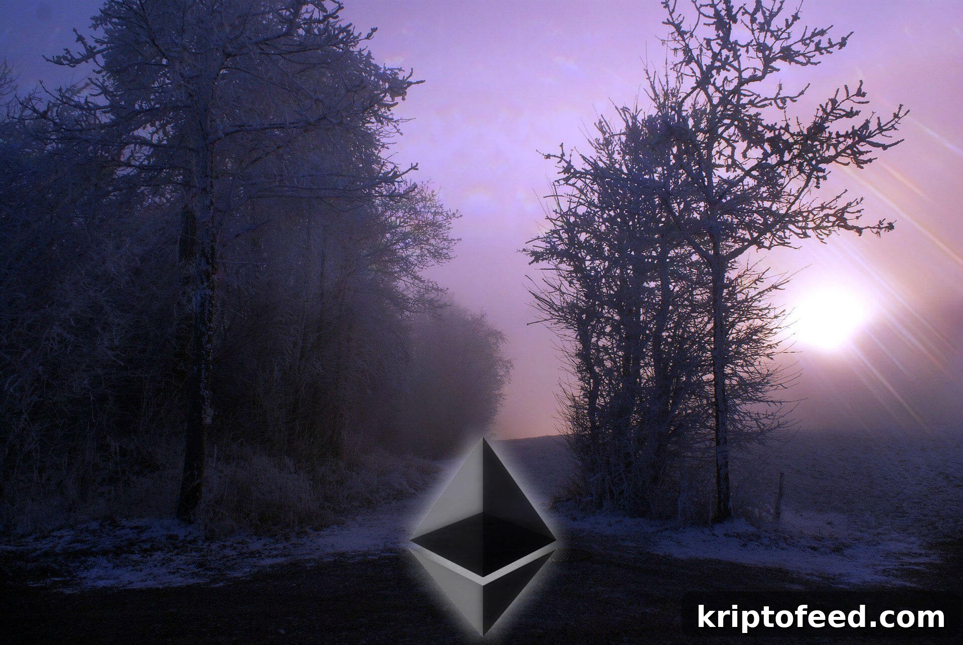 featured 5049