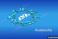 Nebeus Crypto Loan App Launches AVAX-Backed Loans