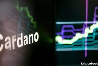 Why Cardano (ADA) Soared 25%: Key Drivers Behind the Rally