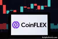 CoinFlex CEO: Bitcoin.com Founder Roger Ver Owes $47 Million