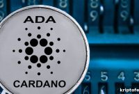 eToro Now Offers Staking for Cardano and Tron