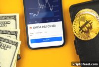 Build a $1000 Crypto Portfolio: Top 3 Coins to Buy Now