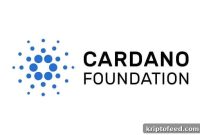Under Pressure, Cardano Foundation President Resigns