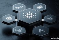 Cardano Price Dips Following Shelley Upgrade Launch