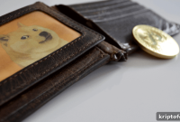 Where to Buy Nano Dogecoin as NDC Surges 276% to New Highs