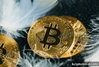 Bitcoin Stands Apart From Other Crypto, Swan Bitcoin CEO Says
