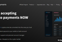 What to Know Before Signing Up for NOWPayments: Key Facts