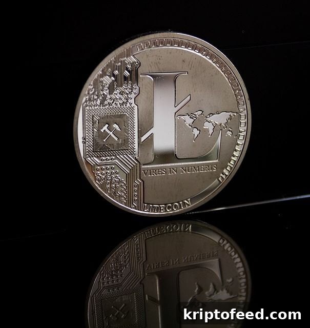 featured 81073