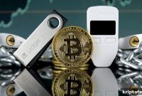 Trezor and Ledger Probe Claims Hacker Is Selling Stolen User Data