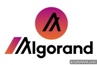 ALGO Surges 21% After Partnership Announcement with FIFA