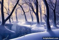 Crypto Winter May Not End Anytime Soon