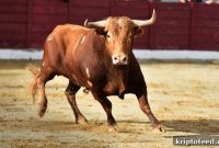 Bitcoin Surges to 5-Month High as Bulls Drive BTC Above $23K