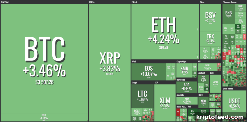 Crypto Market Struggles to Stay Above 100 BUSD as Volatility Rises 5 cryptocurrency market balance December 12
