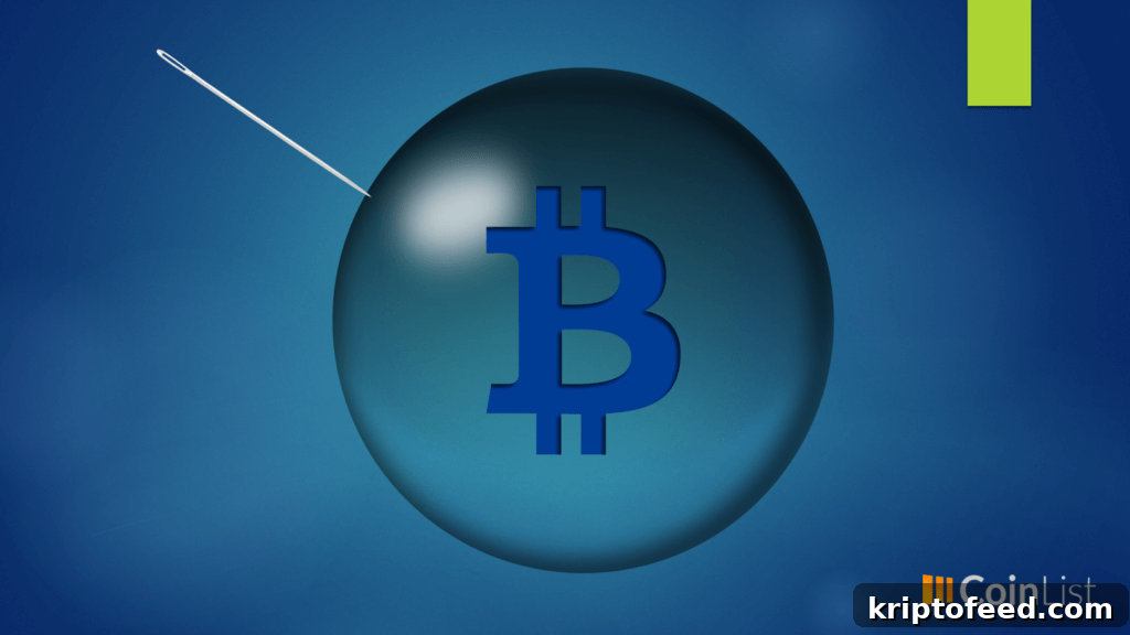 Is Bitcoin a Bubble? What the Crypto Market Signs Reveal 2 img 115214 1