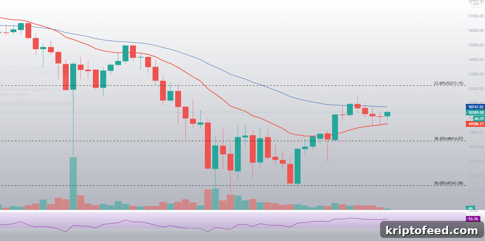 BTC Price Returns to $50,000 After Recent 20% Drop 3 Bitcoin price analysis