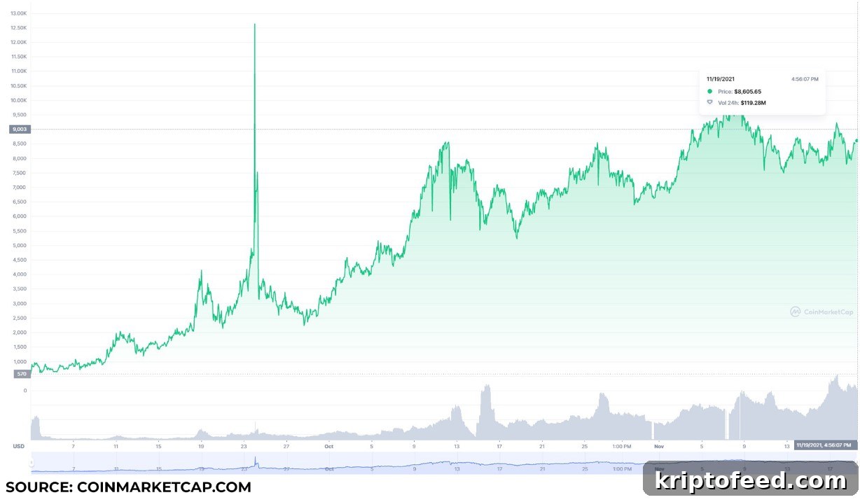 Top Avalanche Ecosystem Tokens to Buy on November 19: AVAX, TIME, PNG 3 img 125585 2