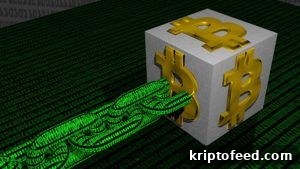 Blockchain Basics: Key Terms Newcomers Must Know 4 Blockchain