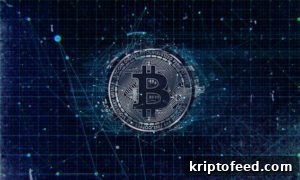 Sygnia to launch exchange