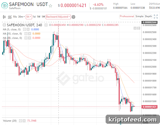 Safemoon Price Outlook: Why SAFEMOON May Face Further Declines 2 img 133379 1
