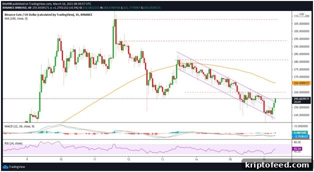 Binance Coin Price Update: Sell-Off Calms as Bulls Eye $260 2 BNB/USD hourly chart