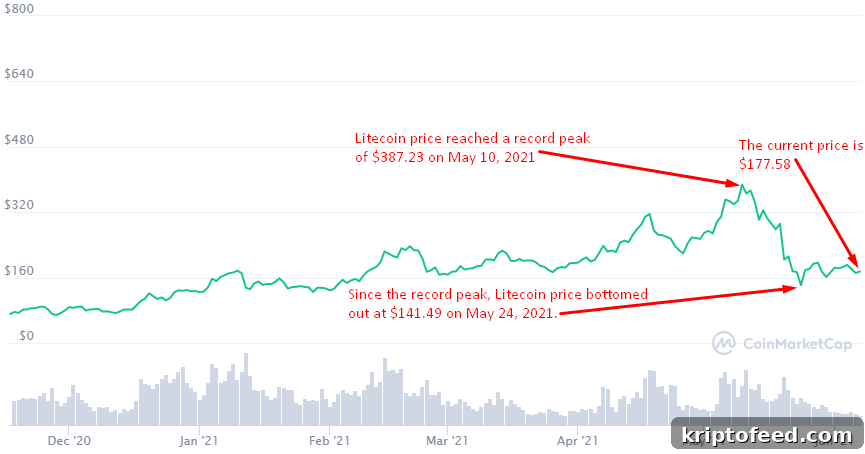Litecoin Price Forecast for June 2021: What to Expect 2 img 16759 1