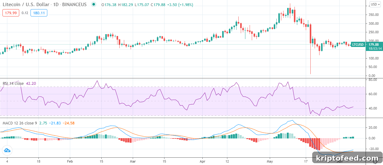 Litecoin Price Forecast for June 2021: What to Expect 4 img 16759 3