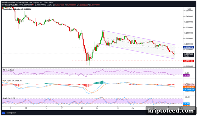 Dogecoin, Chainlink & Tron Price Analysis and Market Outlook 2 DOGE/USD 4 hour chart