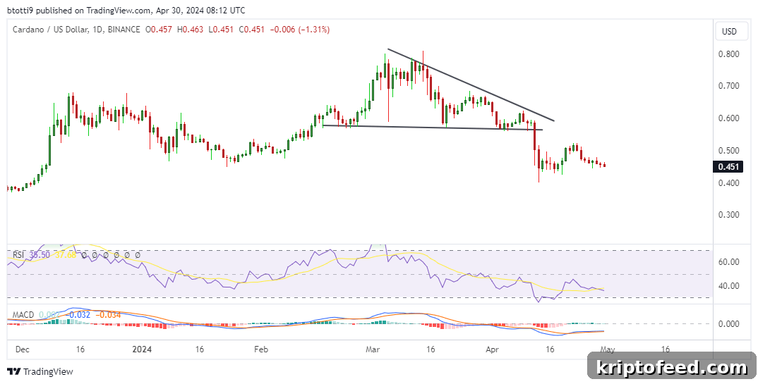 Cardano Price Forecast: Whale Activity Surges and Kangamoon Signals Opportunity 2 img 201176 1