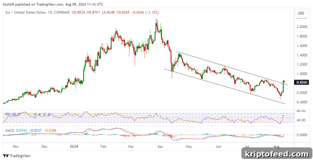SUI Price Forecast as Poodlana Enters Final 7-Day Countdown 2 img 218840 1