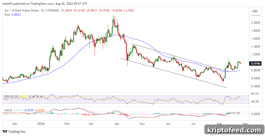 SUI and POODL Price Forecast — Binance Lists TON Meme Coin DOGS 2 img 222236 1